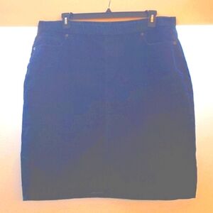 Plus Size Denim Skirt